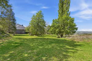 View of grassy yard