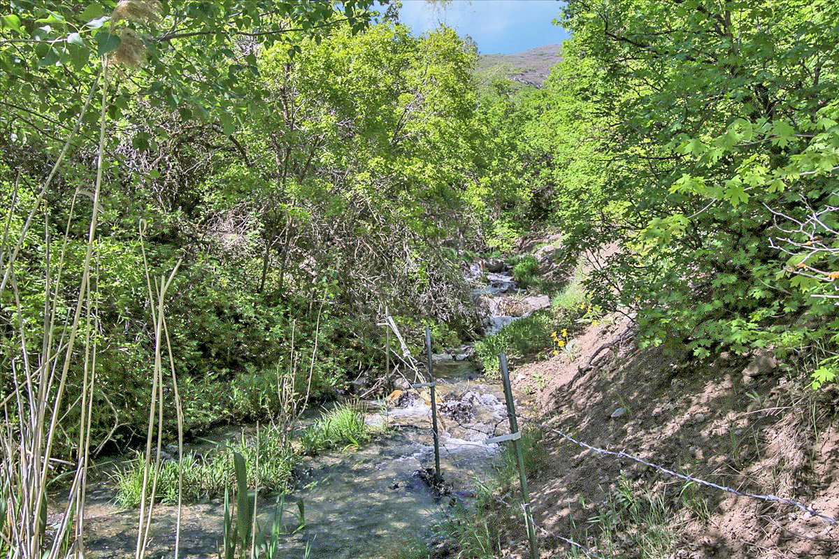 Year-round spring-fed stream, with private Spring Canyon access