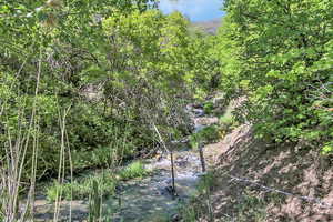 View of local wilderness featuring a view of trees