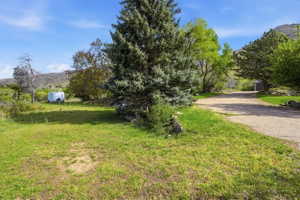 Ample places for additional parking, shops, barns, or ADU