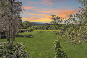 View of yard with a mountain view