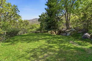 View of green lawn with a mountain view