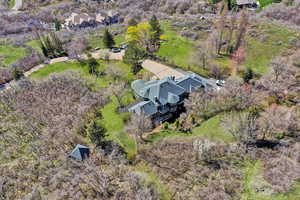 Birds eye view of property