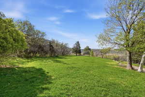View of green lawn