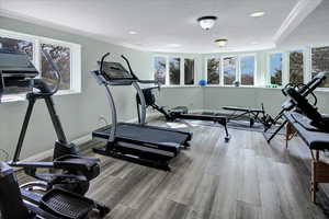 Exercise room with crown molding, plenty of natural light, and wood finished floors