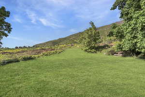 View of yard featuring a mountain view