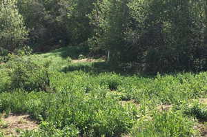 View of landscape featuring a forest view