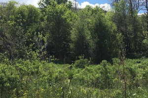 View of nature featuring a wooded view