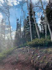 View of landscape featuring a forest view