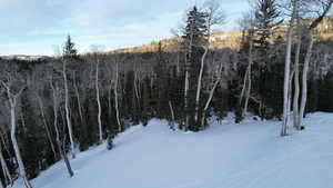 Exterior space featuring a forest view