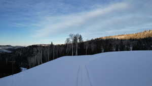 Exterior space with a wooded view
