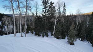Yard layered in snow featuring a forest view