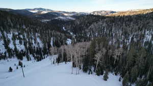 Mountain view with a forest view