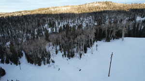Snowy aerial view featuring a wooded view