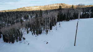 Snowy aerial view with a view of trees