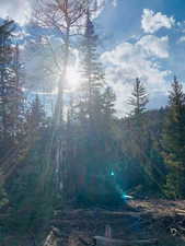 View of landscape featuring a view of trees