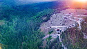 Drone / aerial view of a heavily wooded area