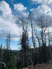 Property view of mountains with a view of trees