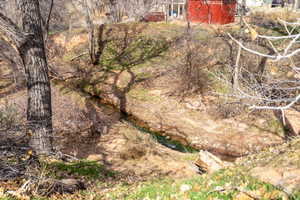 View of local wilderness