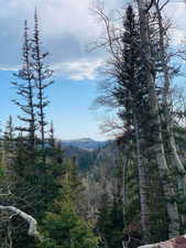 View of mountain feature featuring a wooded view
