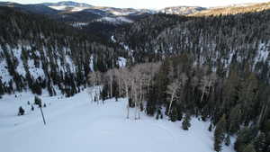 View of mountain feature with a view of trees
