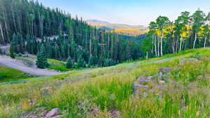 View of mountain backdrop with a heavily wooded area