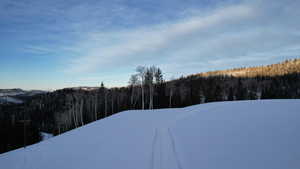 Exterior space featuring a wooded view