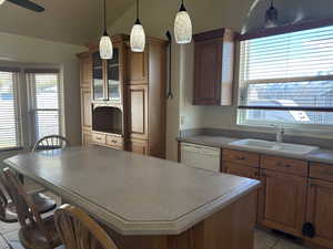 Kitchen featuring a center island, a healthy amount of sunlight, white dishwasher, and a sink