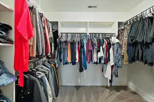 Spacious closet with visible vents and carpet flooring