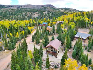 Bird's eye view with a mountain view and a wooded view