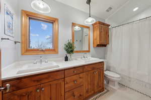 Bathroom with toilet, vaulted ceiling, a sink, and visible vents