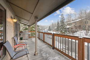 Wooden terrace with a grill