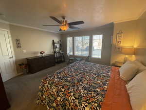 Primary Bedroom with a ceiling fan, carpet floors, and ornamental molding