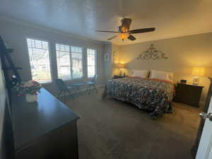 Lots of Natural Light in this Primary Bedroom