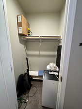 Walk in closet with carpet floors