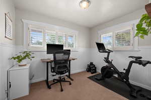 Home office featuring a wainscoted wall and carpet flooring