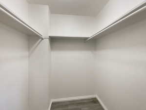 Spacious closet featuring dark wood-style floors