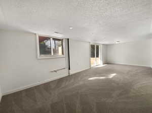 Empty room featuring carpet, baseboards, and a textured ceiling