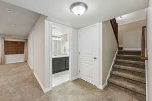 Staircase with baseboards, carpet, and a textured ceiling