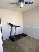 Sunny Bedroom or Workout Room