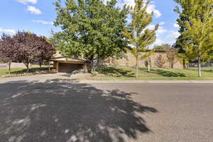 View of property hidden behind natural elements featuring a front lawn, concrete driveway, and an attached garage