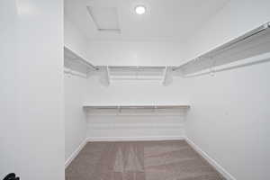 Spacious closet featuring attic access and carpet