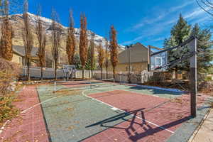 Spacious yard with Basketball / Pickle-ball Court