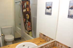 Full bath featuring a sink, shower / bathtub combination with curtain, and toilet