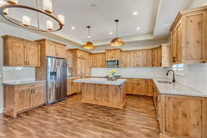 Kitchen with wood finished floors, a tray ceiling, cabinetry, and stainless steel appliances