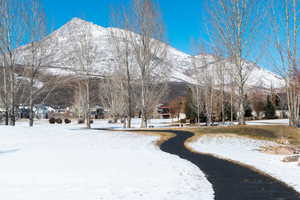 View of home's community featuring a mountain view