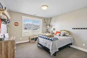 Carpeted bedroom featuring visible vents and baseboards