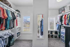 Spacious closet featuring carpet