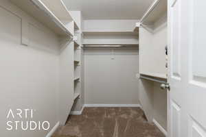 Spacious closet with carpet flooring