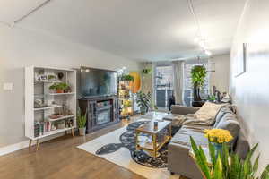 Living area, baseboards, wood finished floors, and rail lighting